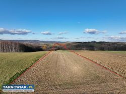 ponad 1,5 ha działka w Ołpinach gm. Szerzyny - Obrazek 1