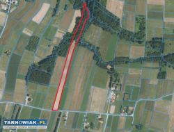 ponad 1,5 ha działka w Ołpinach gm. Szerzyny - Obrazek 2