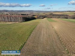 ponad 1,5 ha działka w Ołpinach gm. Szerzyny - Obrazek 3