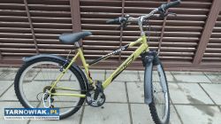 Rower 26 Cosmo Navitas rama 19 cali sprawny - Obrazek 1