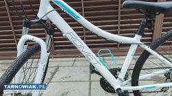 Rower 28 Romet Orkan alu rama 15,5 cala tarczówki - Obrazek 2