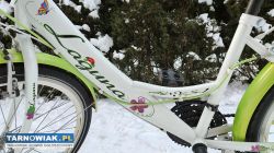 Rower 24 Kands Laguna damka dziewczęcy sprawny - Obrazek 2