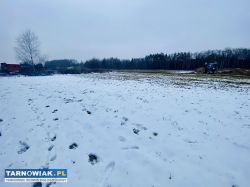 Działka usługowo - mieszkalna Wola Rządzińska - Obrazek 1