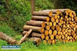 Praca dorywcza - Obrazek 1