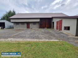 Szynwałd, dom w centrum, dziaka 42 ary - Obrazek 3