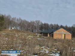 Pawęzów- budowlana na wzniesieniu - Obrazek 2