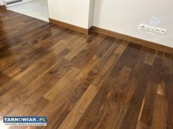 Parkiet - orzech - Obrazek 1