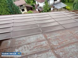 Malowanie dachów - Obrazek 1