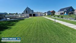 Usługi ogrodnicze, Trawniki z siewu i z rolki - Obrazek 3