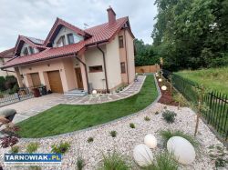 Usługi ogrodnicze, Trawniki z siewu i z rolki - Obrazek 1