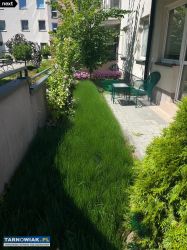 mieszkanie z ogródkiem, centrum - Obrazek 2