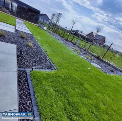 Usługi ogrodnicze ExtraOgród - Obrazek 1