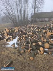 Drewno opałowe mieszane grab osika dąb brzoza - Obrazek 3