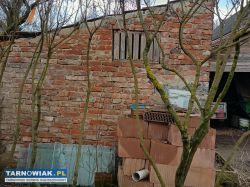 Oddam za darmo - Obrazek 2