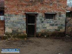 Oddam za darmo - Obrazek 1