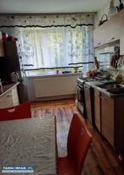 Łęg Tarnowski - Dom poziom 1-2 - Obrazek 3