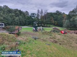 Usługi ogrodnicze i nie tylko. - Obrazek 4