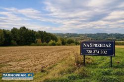 Okolica Tuchowa - duża działka - Obrazek 1