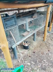 Wiata z klatką na króliki - Obrazek 2