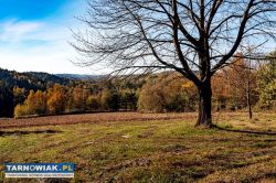 Działka budowlana - Obrazek 3