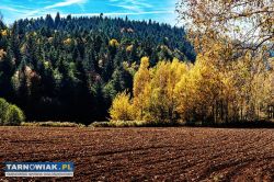 Działka budowlana - Obrazek 1