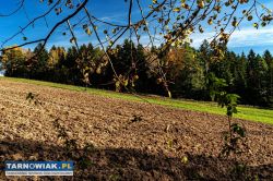 Działka budowlana - Obrazek 4