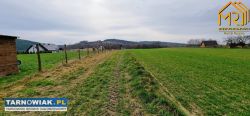 Duża działka rolno – leśna w gm. Gromnik - Obrazek 3
