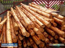 Sprzedam stemple budowlane  tanio. - Obrazek 2