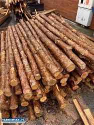 Sprzedam stemple budowlane  tanio. - Obrazek 1