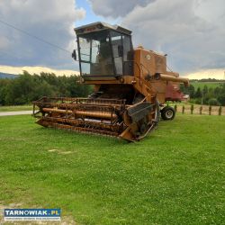 Bizon z056 - Obrazek 2