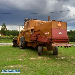 Bizon z056 - Obrazek 3