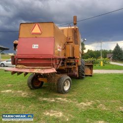 Bizon z056 - Obrazek 4