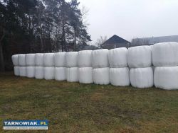 Sianokiszonki bale - Obrazek 1