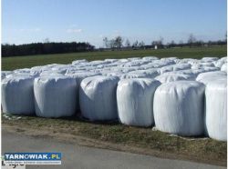 Sianokiszonki bale - Obrazek 2