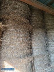 Słoma baloty - Obrazek 1