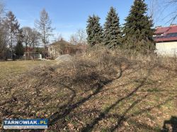 Oddam ziemię - Radłów - Obrazek 4