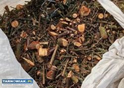 Zrębki od rąbaka - Obrazek 1