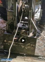 Wyciagarka leśna - Obrazek 3