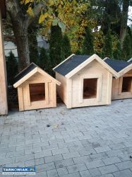 Buda dla psa - Obrazek 2