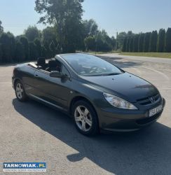 Peugeot 307 cc 2.0 benzyna - Obrazek 1