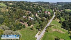 Działka 19 ar na sprzedaż Janowice gm.  Pleśna - Obrazek 4