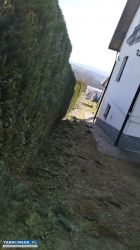 Usługi ogrodnicze – kompleksowe wykonanie ogrodów - Obrazek 2