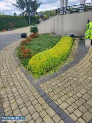 Usługi ogrodnicze – kompleksowe wykonanie ogrodów - Obrazek 4