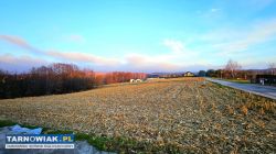 Budowlana- Nowodworze-11 arów - Obrazek 1