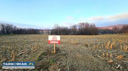 Budowlana- Nowodworze-11 arów - Obrazek 2