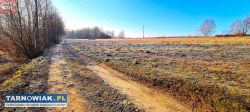 Buchcice- działka rolna - Obrazek 4