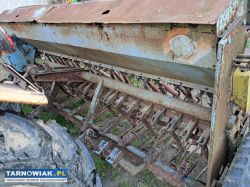 Siewnik poznaniak - Obrazek 1