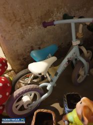 oddam za darmo - Obrazek 1