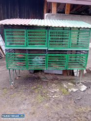 Klatka dla królików - Obrazek 1