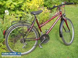 Rower 26 damski - Obrazek 2